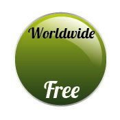 Free Worldwide shipping Speedomini